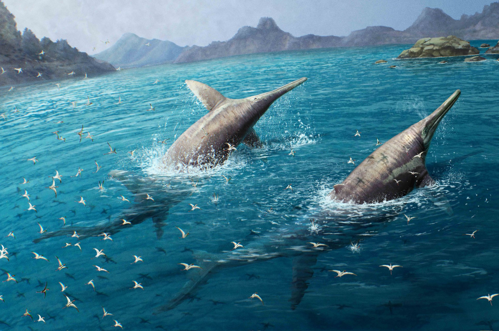 Descubren restos fósiles de lo que pudo haber sido el reptil marino más grande jamás descubierto